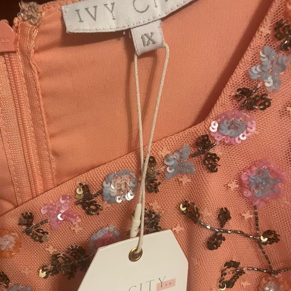 NWT Ivy City Co Milan Dress in Sorbet 1X - Picture 3 of 3